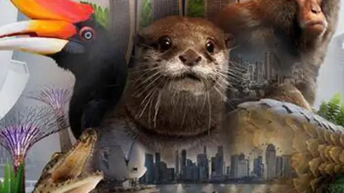 Singapour - La Jungle Urbaine E01 Préserver les espaces naturels