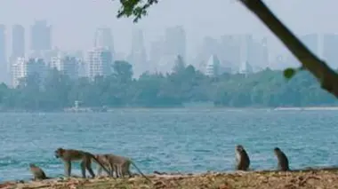 Concilier Développement et Biodiversité