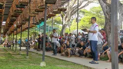 Singapour, quand les oiseaux chantent