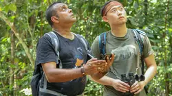 Singapour, quand les oiseaux chantent