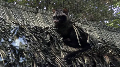 Singapour, ville sauvage E04 Paradis verts