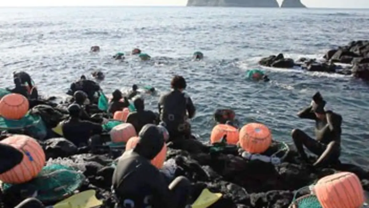 Sirènes de Corée Les pêcheuses en apnée de Jeju-do
