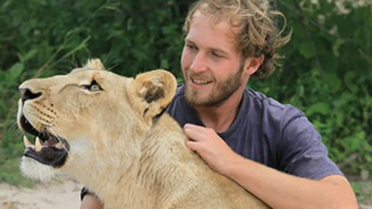 Sirga, le destin d'une lionne E04 Une lionne malade
