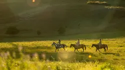 Sitting Bull Nations Collide