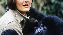 Six femmes sur la planète des grands singes
