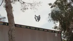 Skateboard : Horizon verticale Que de l'or