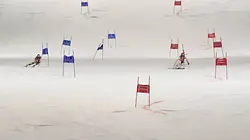 Ski alpin : Coupe du monde à Wengen
