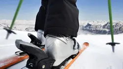 Ski Coupe du monde de ski alpin