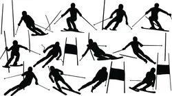 Ski Coupe du monde de ski alpin