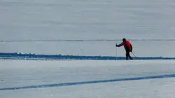 Ski de fond Championnats du monde