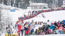 Ski de fond Championnats du monde