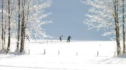 Ski de fond : Coupe du monde