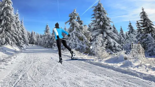 Ski de fond : Coupe du monde
