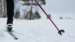 Ski de fond : Coupe du monde à Oberstdorf