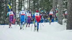 Ski de fond : Coupe du monde à Ruka
