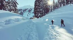 Ski de fond : Coupe du monde à Toblach