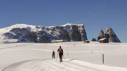 Ski de fond : Coupe du monde à Toblach