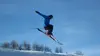 Ski freestyle : Championnats du monde FIS
