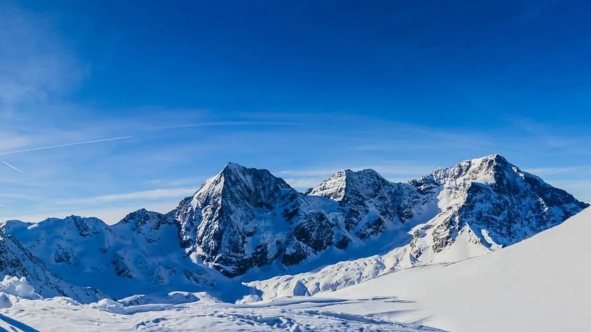 Ski freestyle Coupe du monde à Saint-Moritz 2023/2024