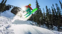Ski freestyle Coupe du monde de ski freestyle