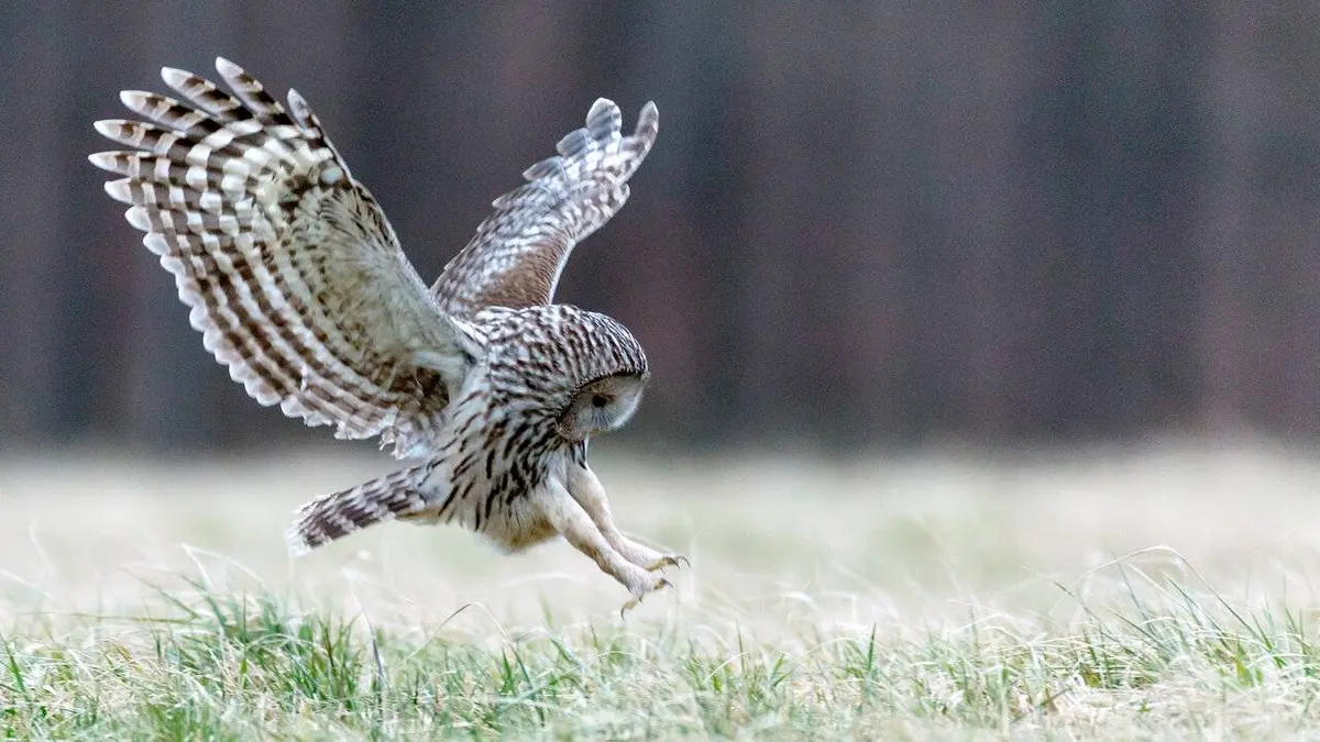 Slovénie : L'éclat de la nature