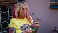 Snakes in the City La vallée des mambas