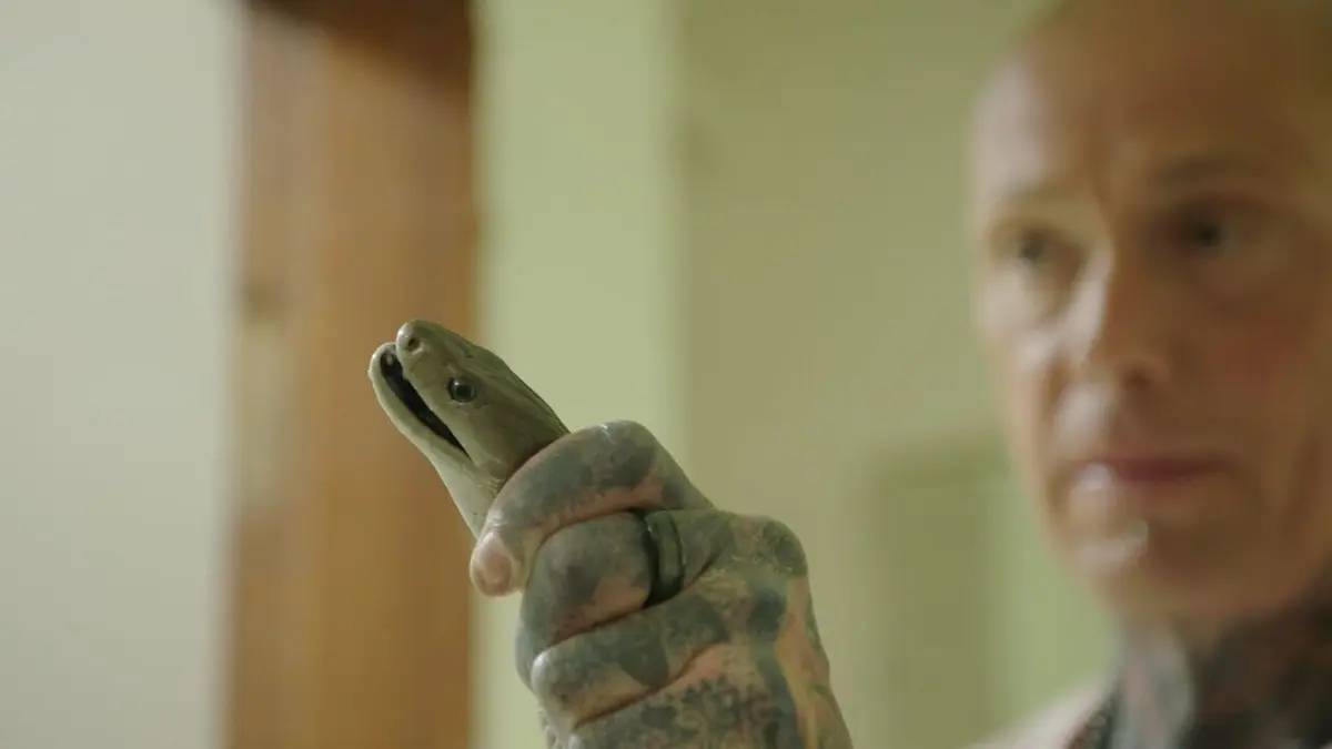 Snakes in the City Mamba-invasion