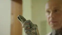 Snakes in the City Mamba-invasion