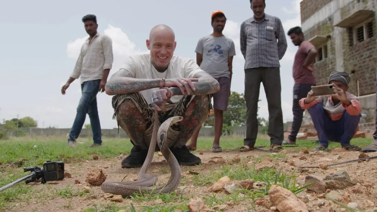 Snakes in the City Pythons et compagnie en streaming