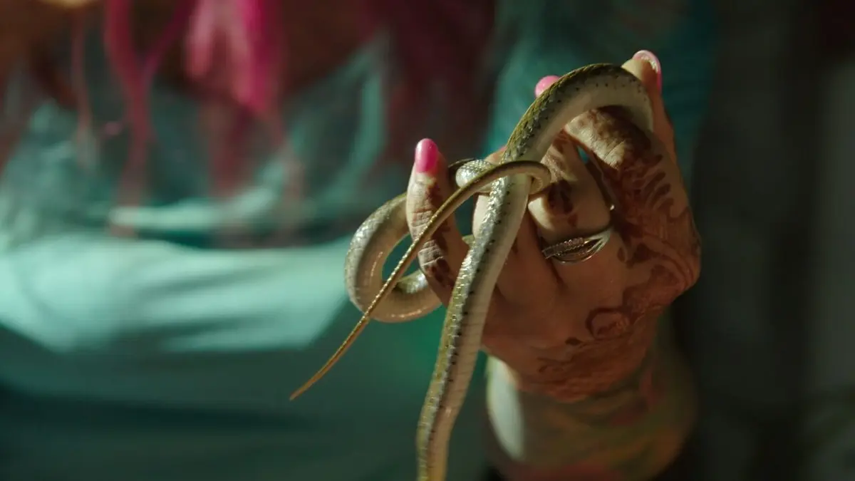 Snakes in the City Bongare tueur