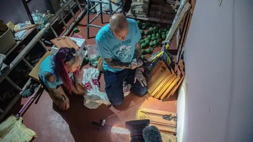 Snakes in the City La brasse du cobra