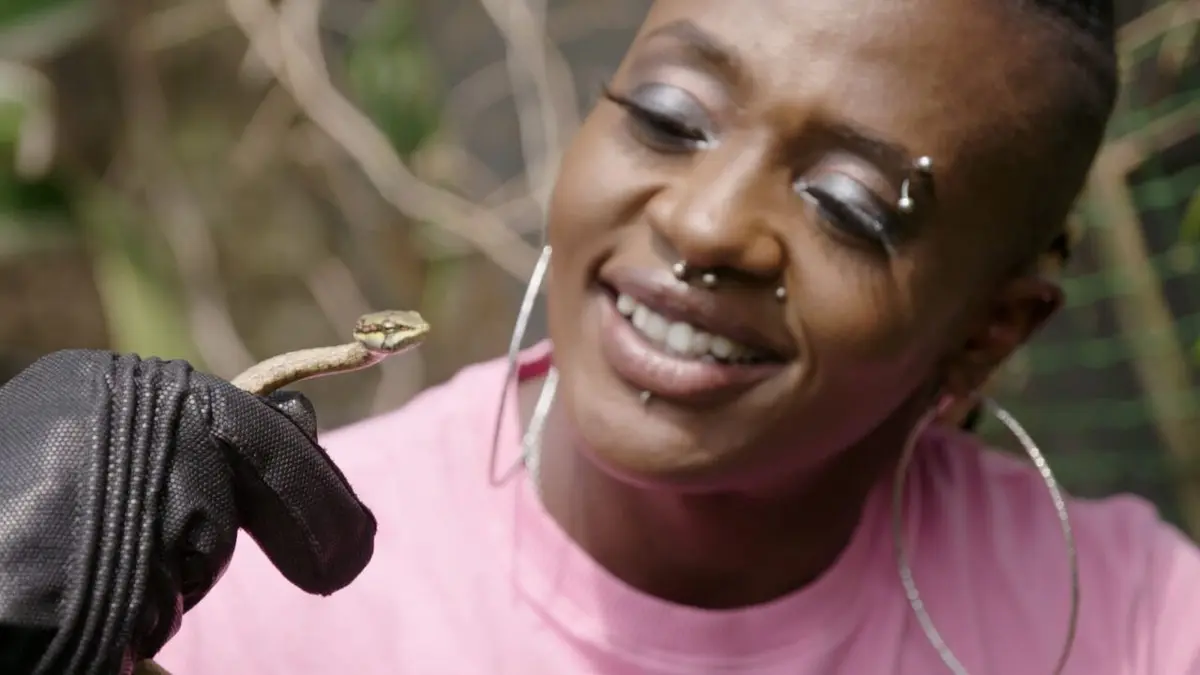 Snakes in the City Sang frais