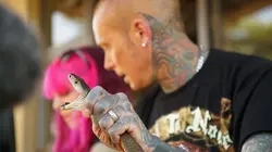 Snakes in the City Cherchez l'intrus