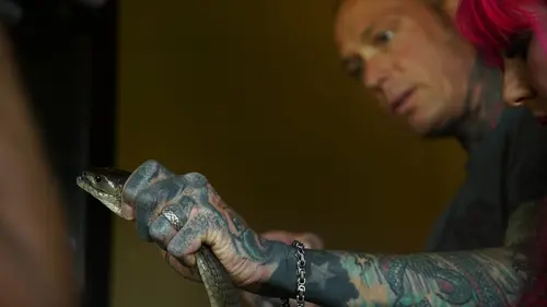 Snakes in the City L'été des mambas noirs