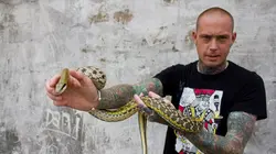 Snakes in the City Cobra cracheur