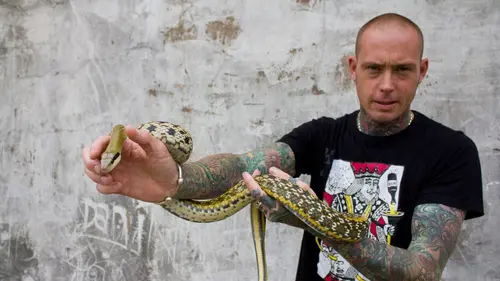 Snakes in the City Cobra cracheur