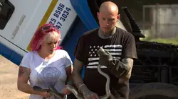 Snakes in the City  Terreur dans un quartier résidentiel