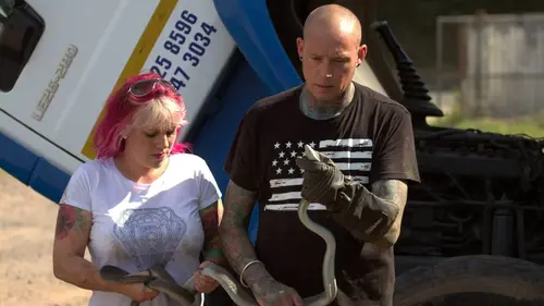 Snakes in the City Terreur dans un quartier résidentiel