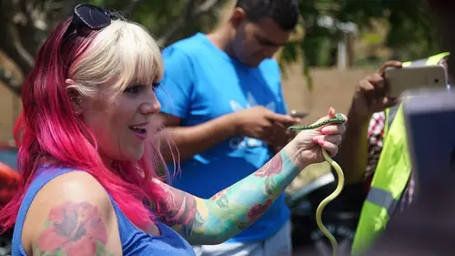 Casting Snakes in the City La nuit sifflera trois fois