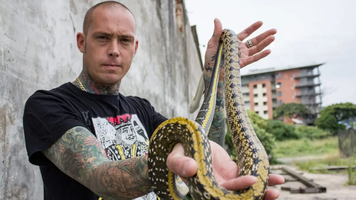 Snakes in the City Double morsure en streaming