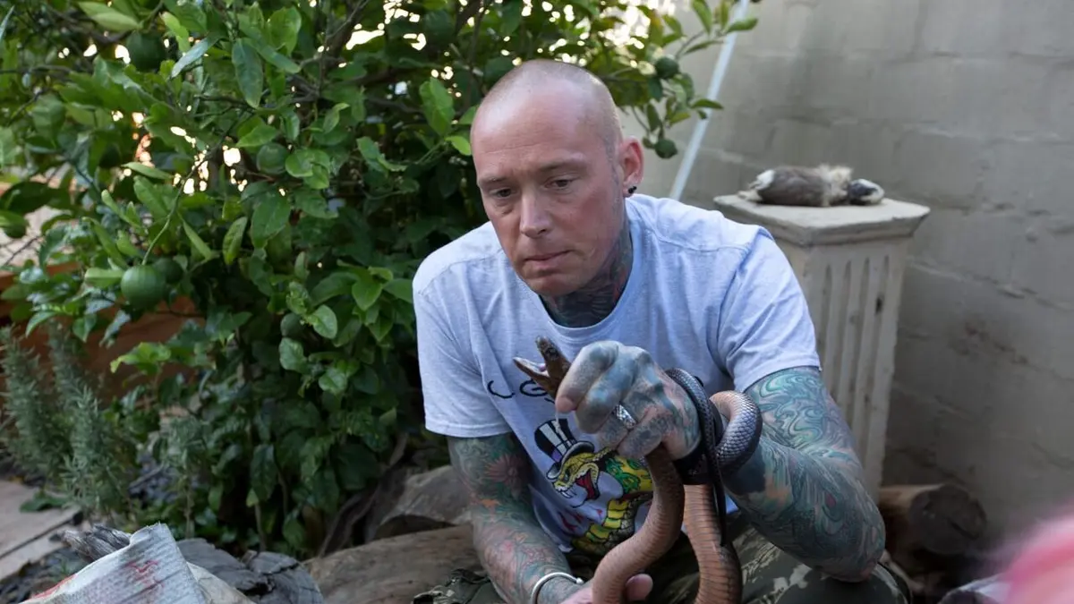 Snakes in the City Les justiciers masqués