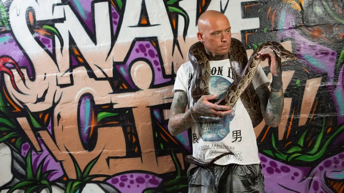 Snakes in the City Panique en ville en streaming