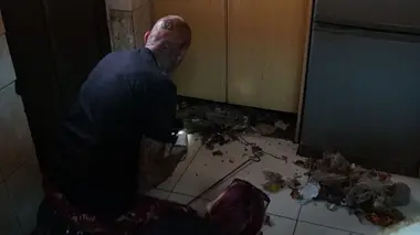 Un train et un serpent