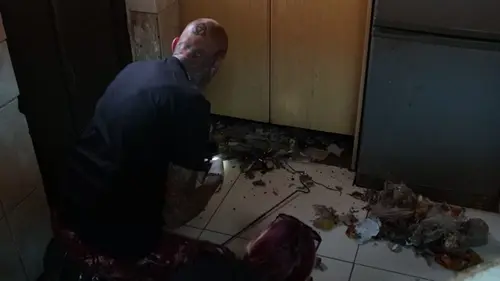 Snakes in the City Un train et un serpent