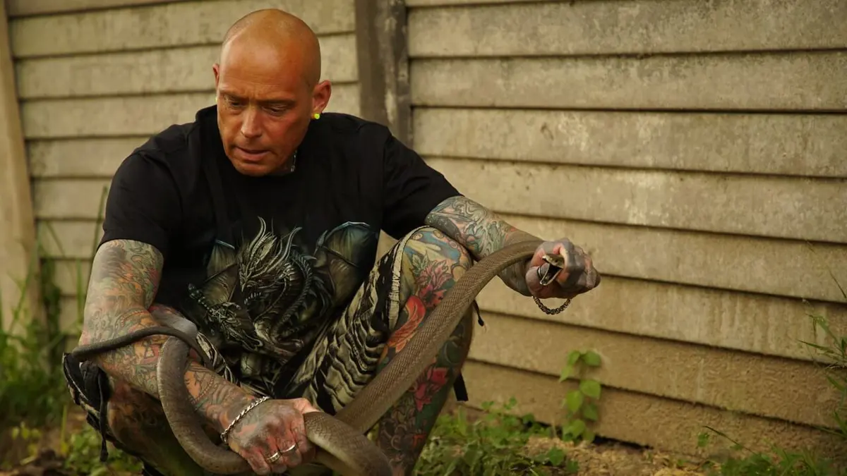 Snakes in the City Serpent en folie