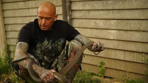 Snakes in the City Serpent en folie