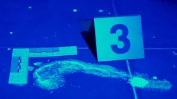 Snapped : cauchemars au réveil