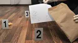 Snapped : cauchemars au réveil Laissée pour morte