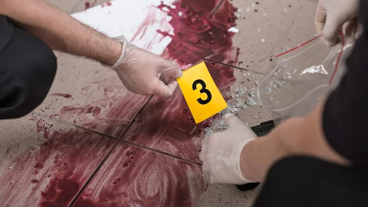 Snapped : connexion mortelle S01E09 Sacco & Puccio