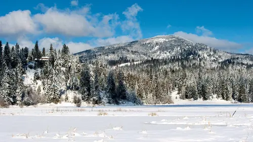 Snapped : fratrie meurtrière James et Joseph Pratt